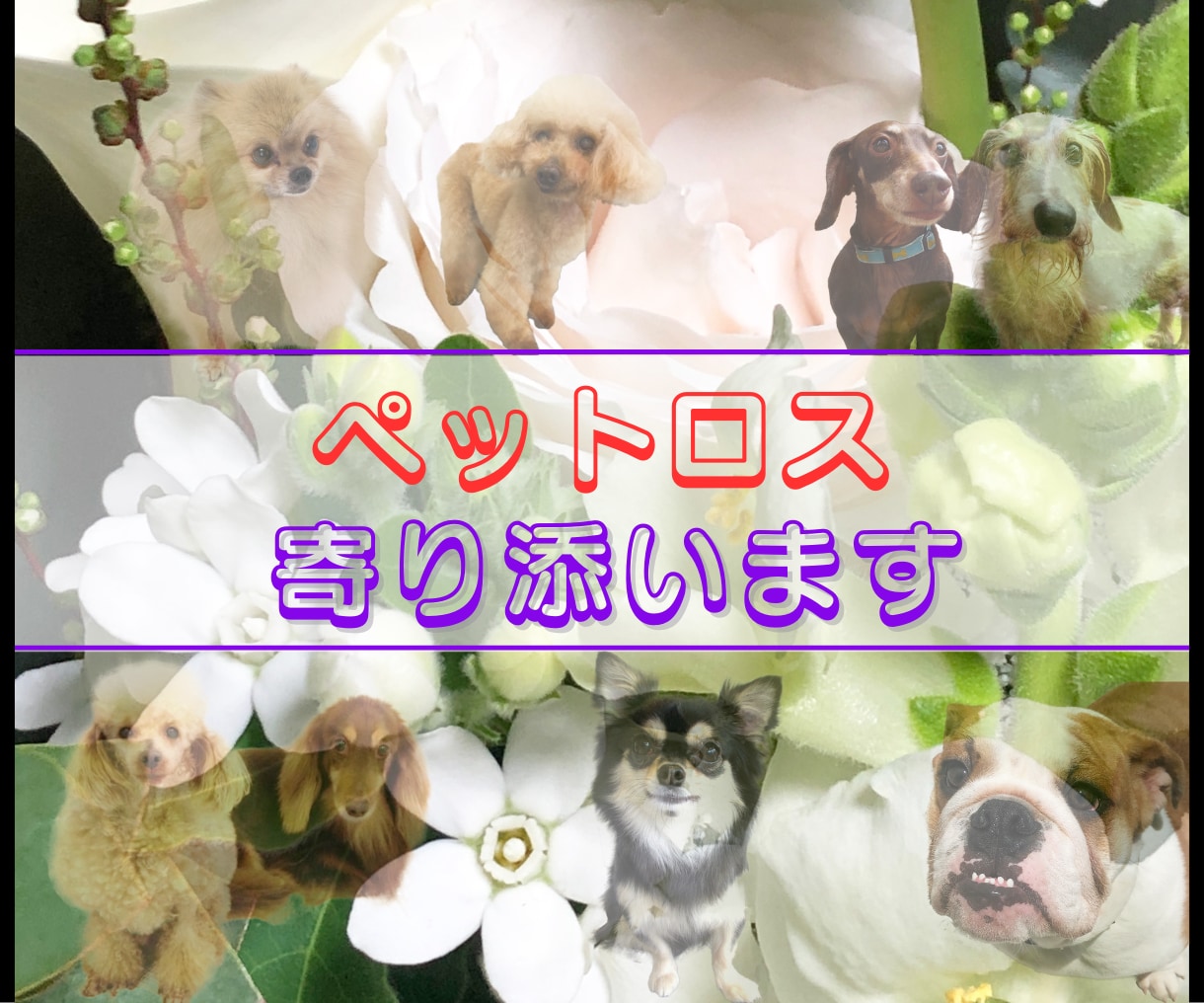 愛犬を亡くし【ペットロス】その悲しみに寄り添います あれで良かったのかと後悔／もっと一緒にいたかった愛犬への想い イメージ1