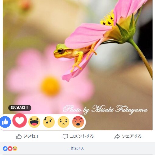 人気インスタグラマーが愛されるSNS活用術教えます Facebookで人との繋がりを大切にしたいあなたへ♡ イメージ8
