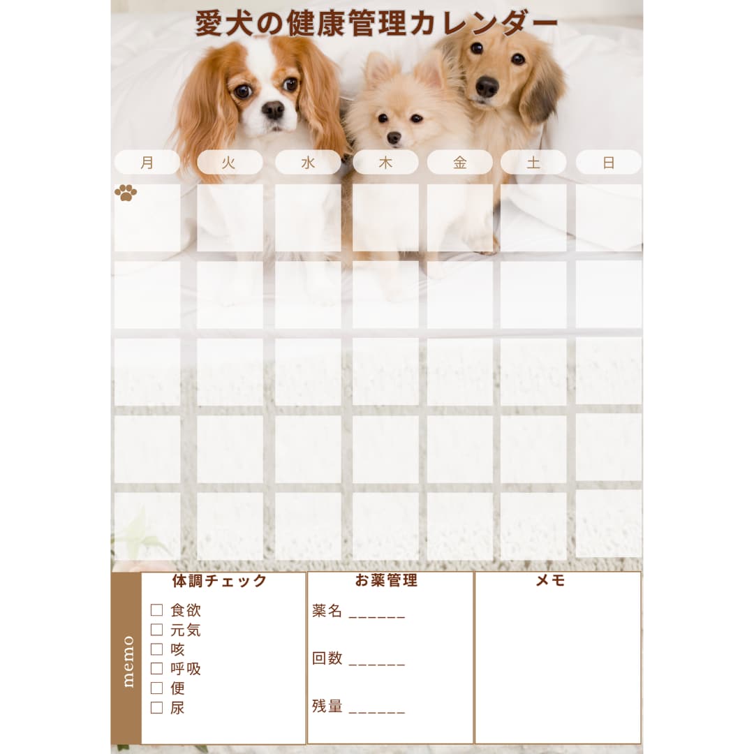 愛犬の健康管理カレンダー作れます 通院・お薬・体調をまとめて管理できます イメージ2