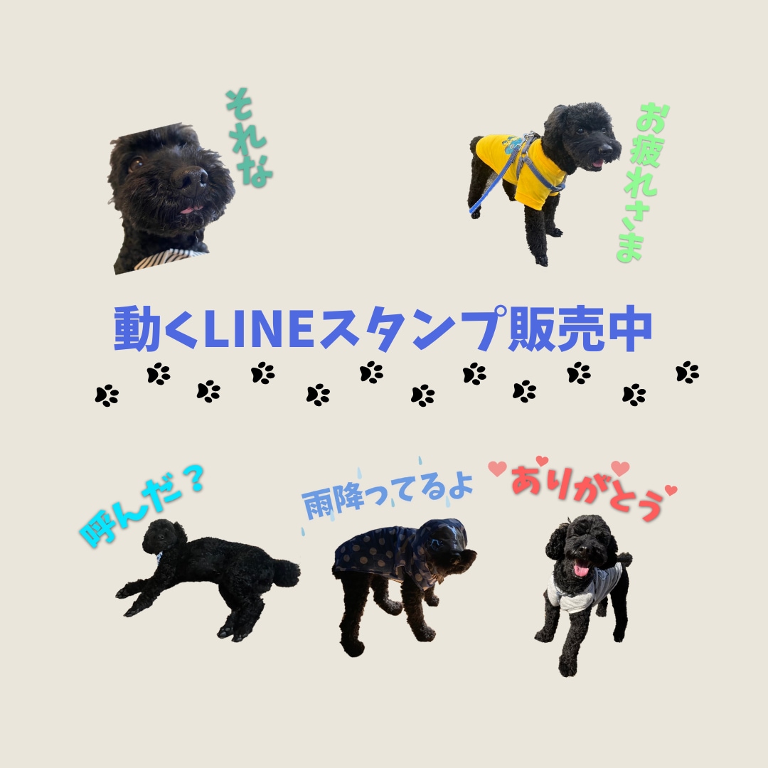 お手持ちの写真で動くLINEスタンプ作ります この写真“動くスタンプ”にしたい！その願い叶えます♪ イメージ1