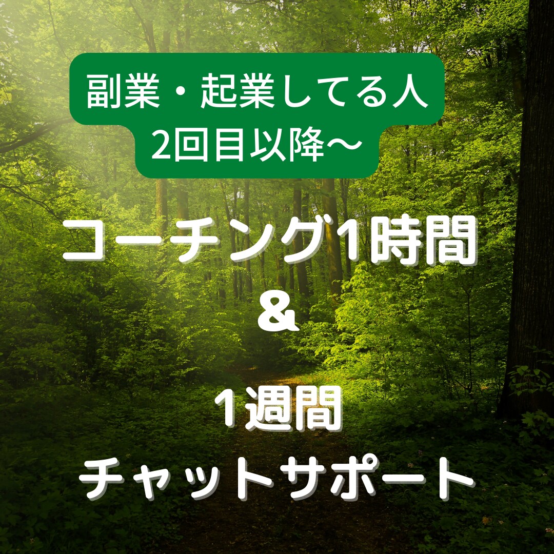 個人で働いてる人！人との関係コーチングします 出品者さん、起業、副業、継続コーチング、強み、才能、目標 イメージ2