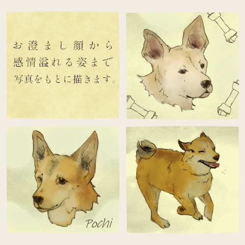 あたたかい絵柄で動物を描きます 好きな動物や愛しい家族の一員をイラストに イメージ2