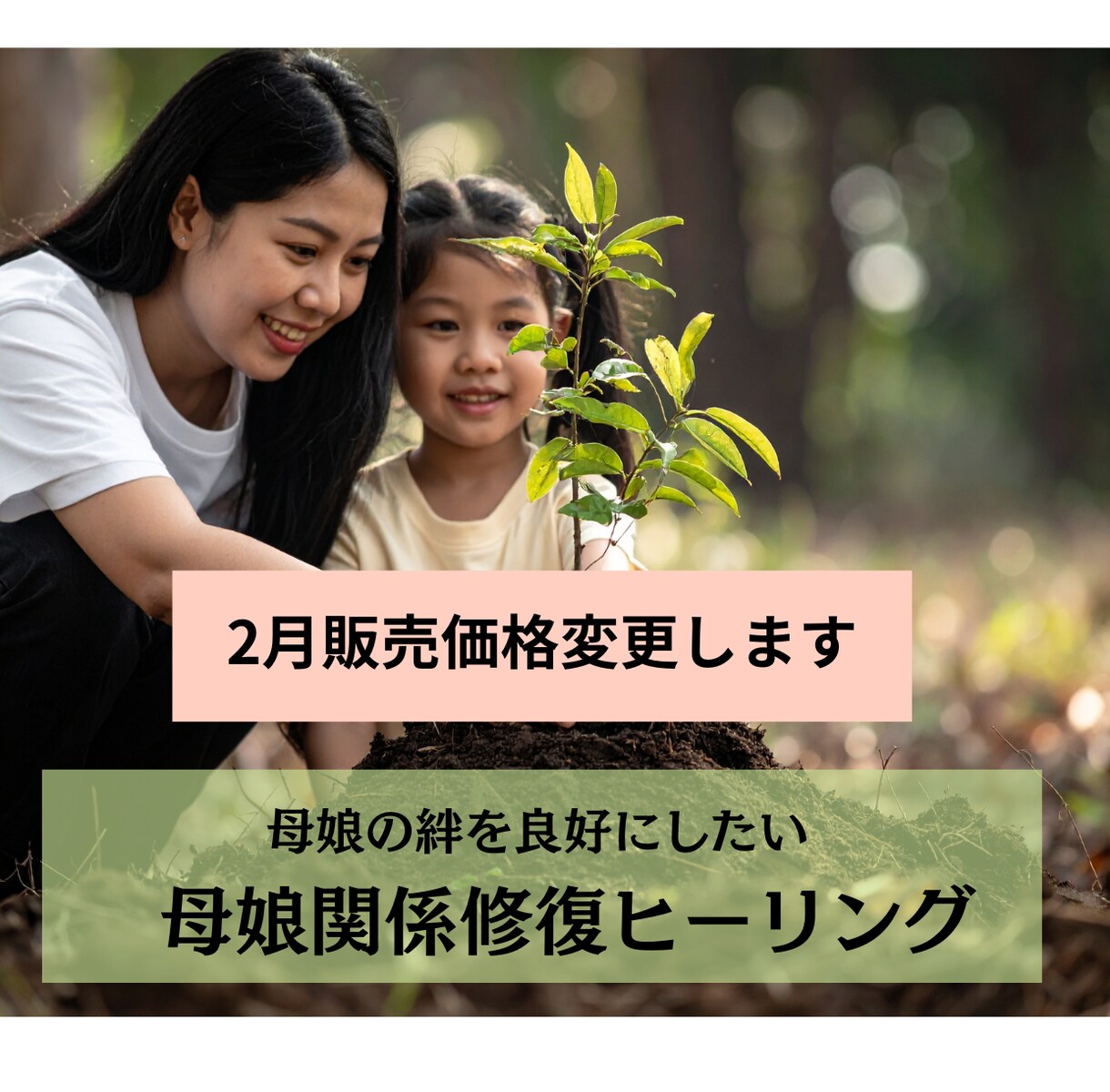 母娘関係の 修復ヒーリングします 頑張っても報われない“母娘の心の距離”を、静かに癒し整える イメージ2