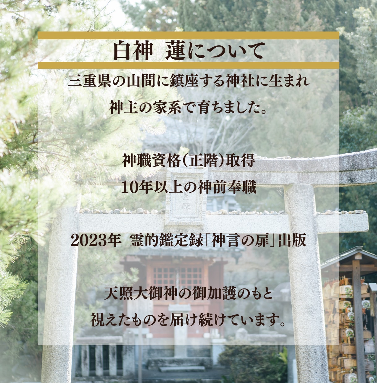 子宝占い【授かれない本当の理由】を神言霊視で視ます 妊娠・子宝を望むあなたへ。縁の根本を視えます イメージ2
