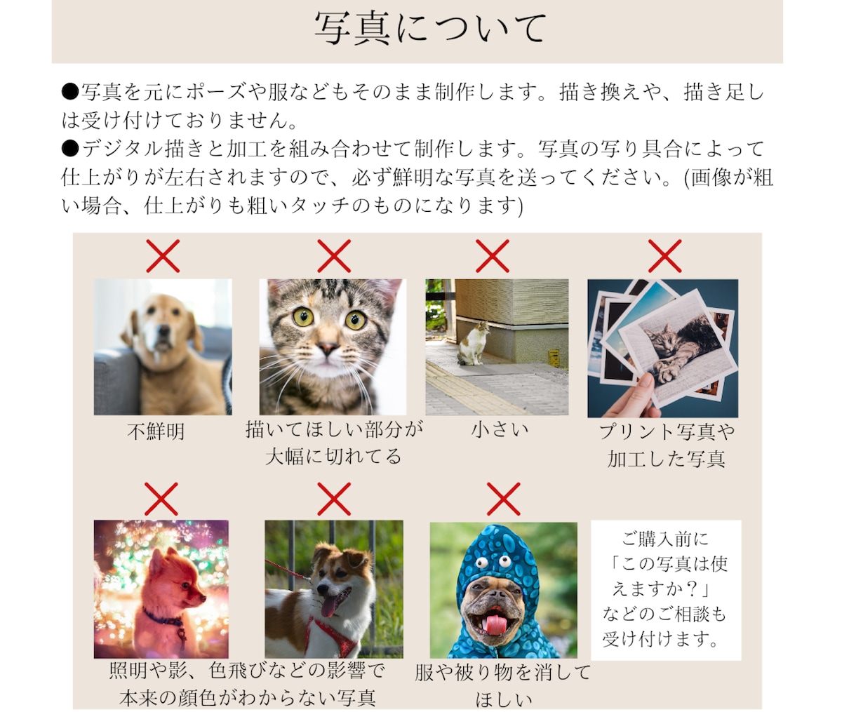 ガーベラペット似顔絵｜額縁可｜お急ぎ可でございます 猫・犬・うさぎ等リアルで華やかなペットイラスト｜ラッピング可 イメージ9