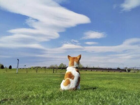 今のモヤモヤ！丸ごとお話し伺います 1分だけでも大丈夫♪今聞いてほしい方。安心してご利用下さい。 イメージ2