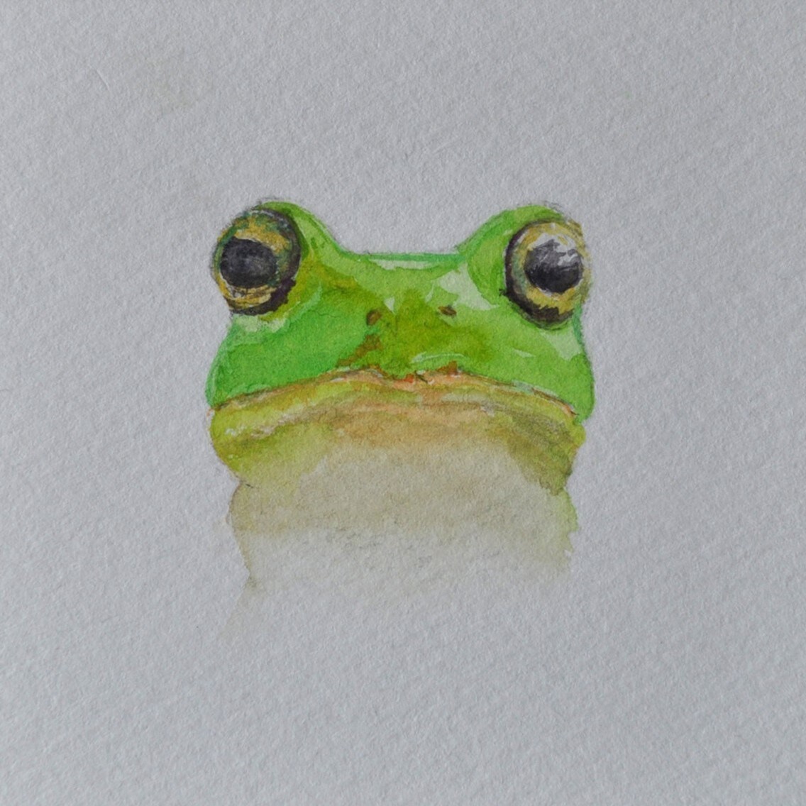透明水彩絵の具でペットの肖像画を描きます 皆様の大切な家族をお描き致します。 イメージ6