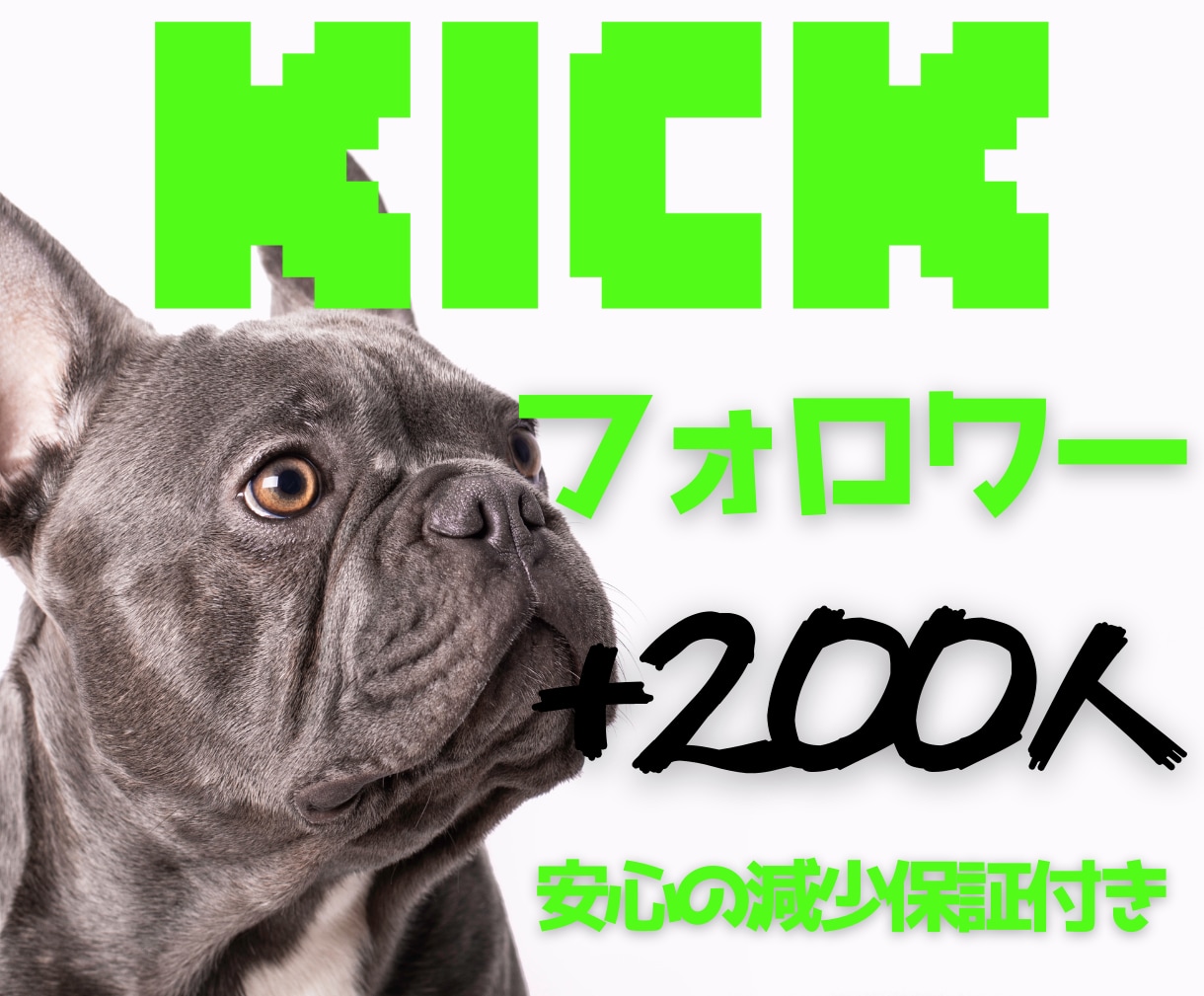 Kickフォロワー増やします フォロワー＋200人で一気に収益化圏内へ！✨安心の減少保証付 イメージ1
