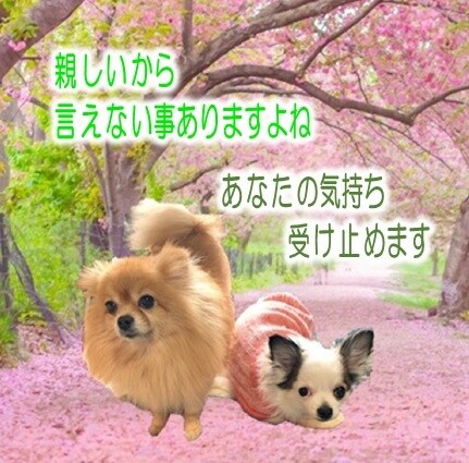 気楽にチャットで話しませんか？なんでも聞きます 悩んだり、愚痴りたくなったり…頑張ってるあなたに寄り添います イメージ8