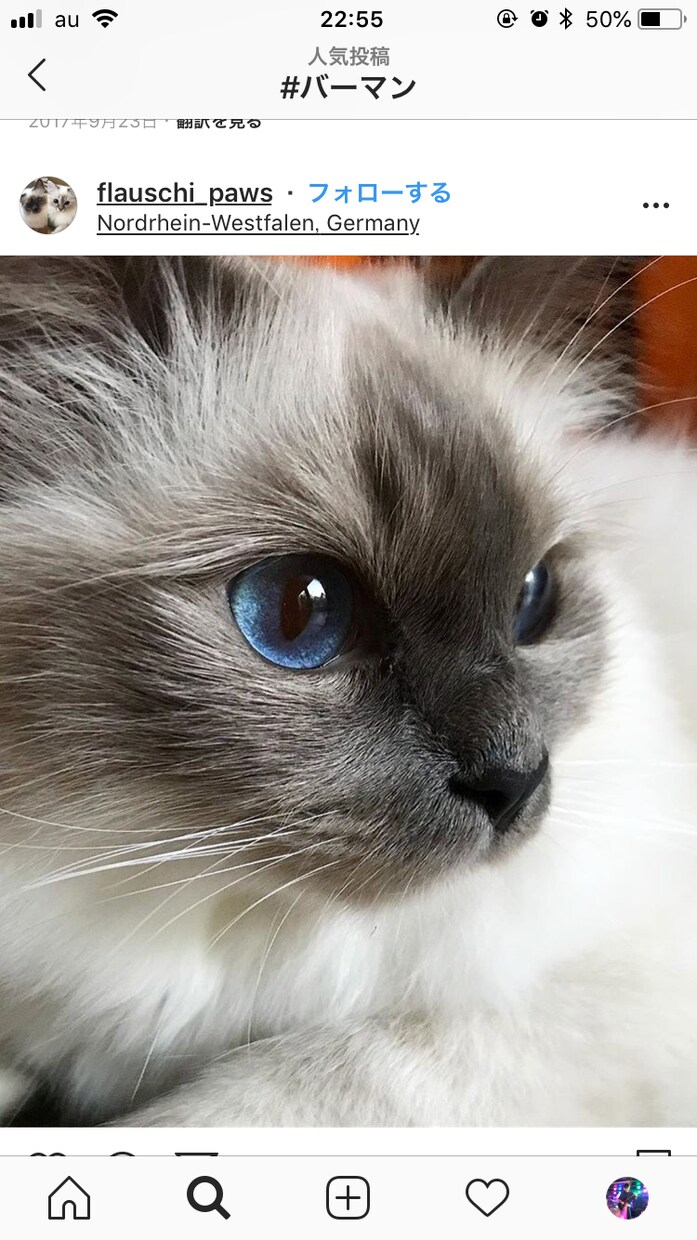 ペットの飼育方法のご相談やお悩みを解決します 動物を適切に飼育し、より生活を豊かにしましょう。 イメージ1