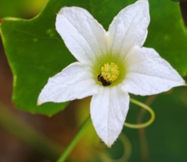 真実の出逢い　私の力で未来の時間軸は変えれます 現実世界に囚われるのではなく私と共に明るい未来を手の中に。 イメージ4