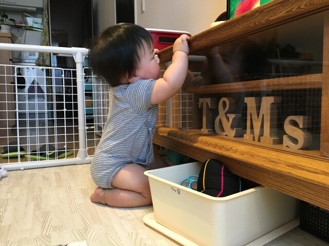 才能を創る教育法を教えます [天才を育てた親が知らず知らずにやっていた教育法を教えます] イメージ7