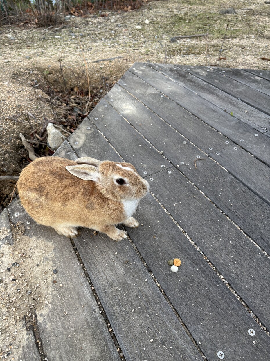 1分からでもOK!いつでも待ってます 疲れた時、お話ししたい時にどうぞ〜 イメージ1