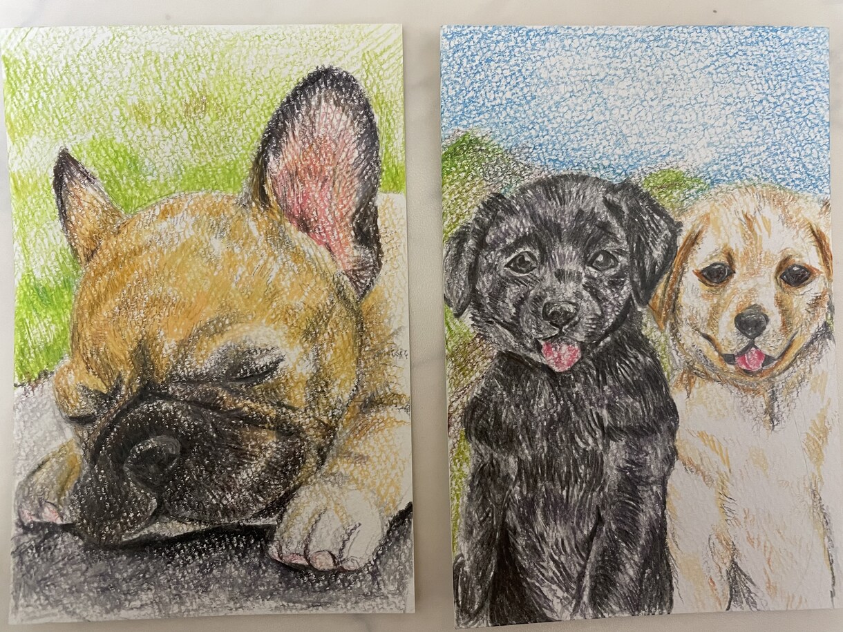 年賀状にも！色鉛筆で動物の絵を描きます 世界でたった一つだけ！動物の可愛い表情を生き生きと描きます イメージ7