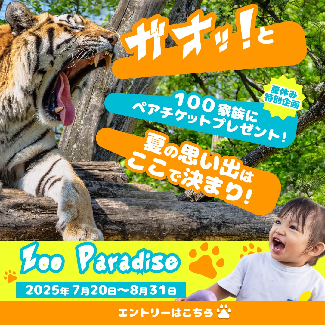 全サイズ1500円！WEB画像制作します あなたの事業、デザインで応援します！ イメージ6