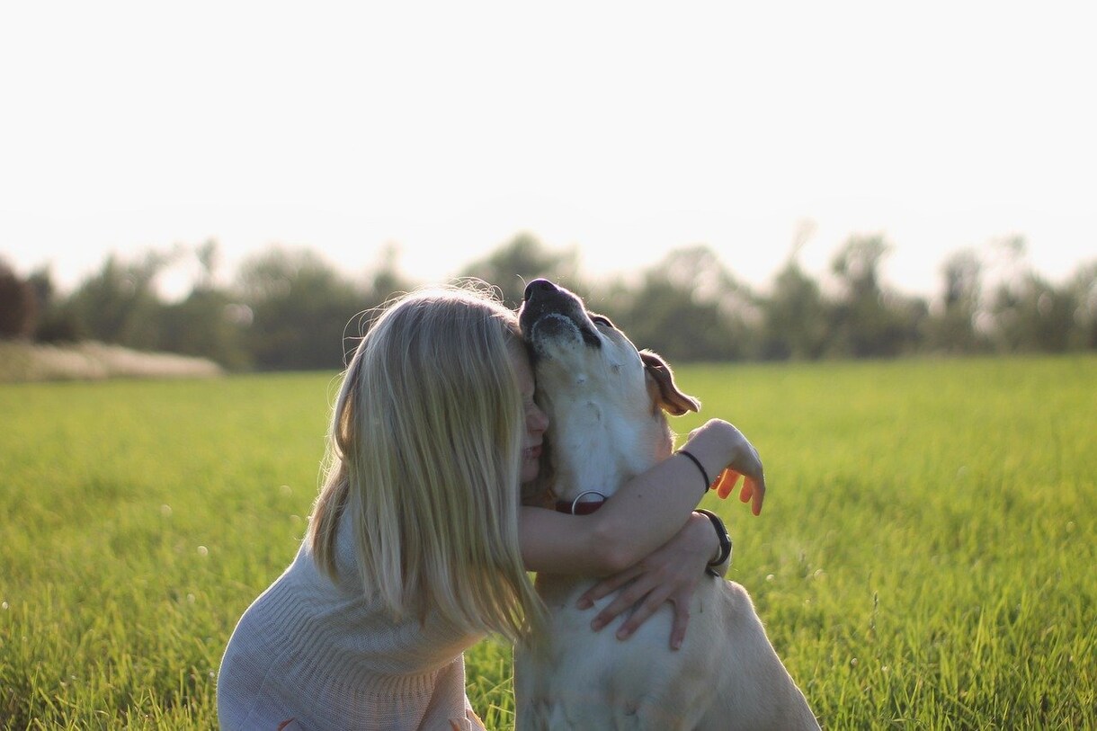 アナタの心のモヤモヤを解消するサポートをします 誰かに話すだけで、心の霧がサッと晴れてアナタらしく生きれるよ イメージ1