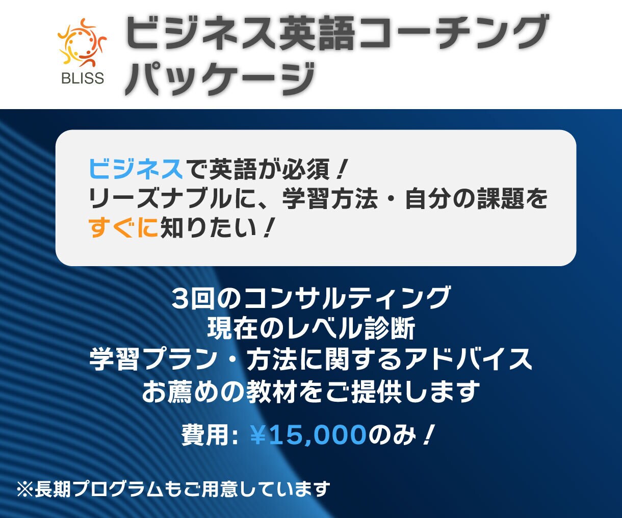 ビジネス英語コーチング60分x3回をご提供します 課題分析・学習プランはすべてカスタマイズ！成果を追求します イメージ1