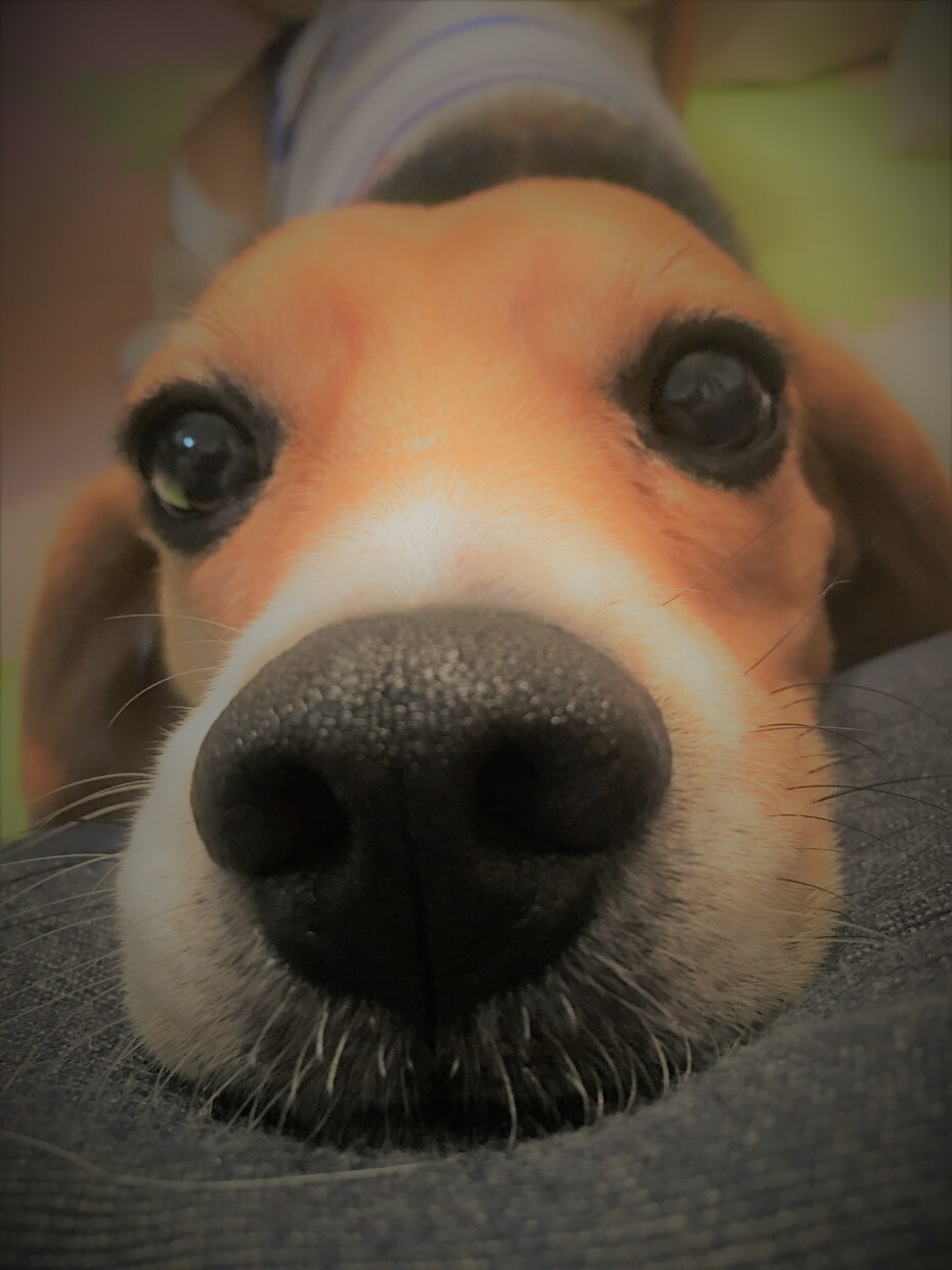 あなたの悩み一緒に考えます 悩みや不安はシェアして自分で解決へ近づいていく時代です。 イメージ1