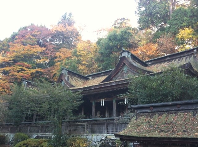 奈良の良さが伝わる奈良旅行プランをアドバイスします 鹿や大仏を見に行こうとしているあなたへ イメージ3