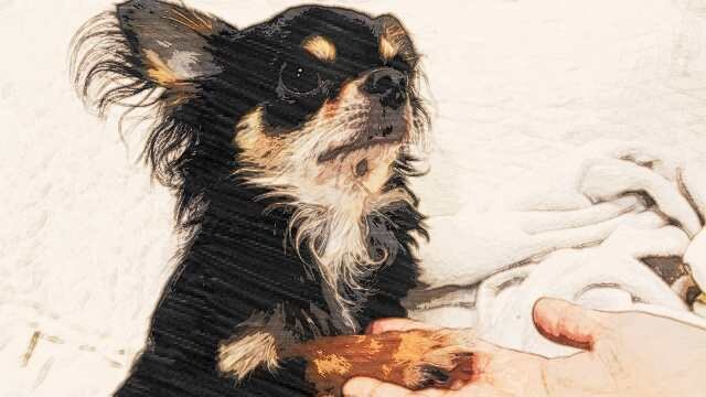写真から精密模写し、パステル風似顔絵を制作します 誕生日や記念日、クリスマスなどの年間行事のプレゼントに。 イメージ4