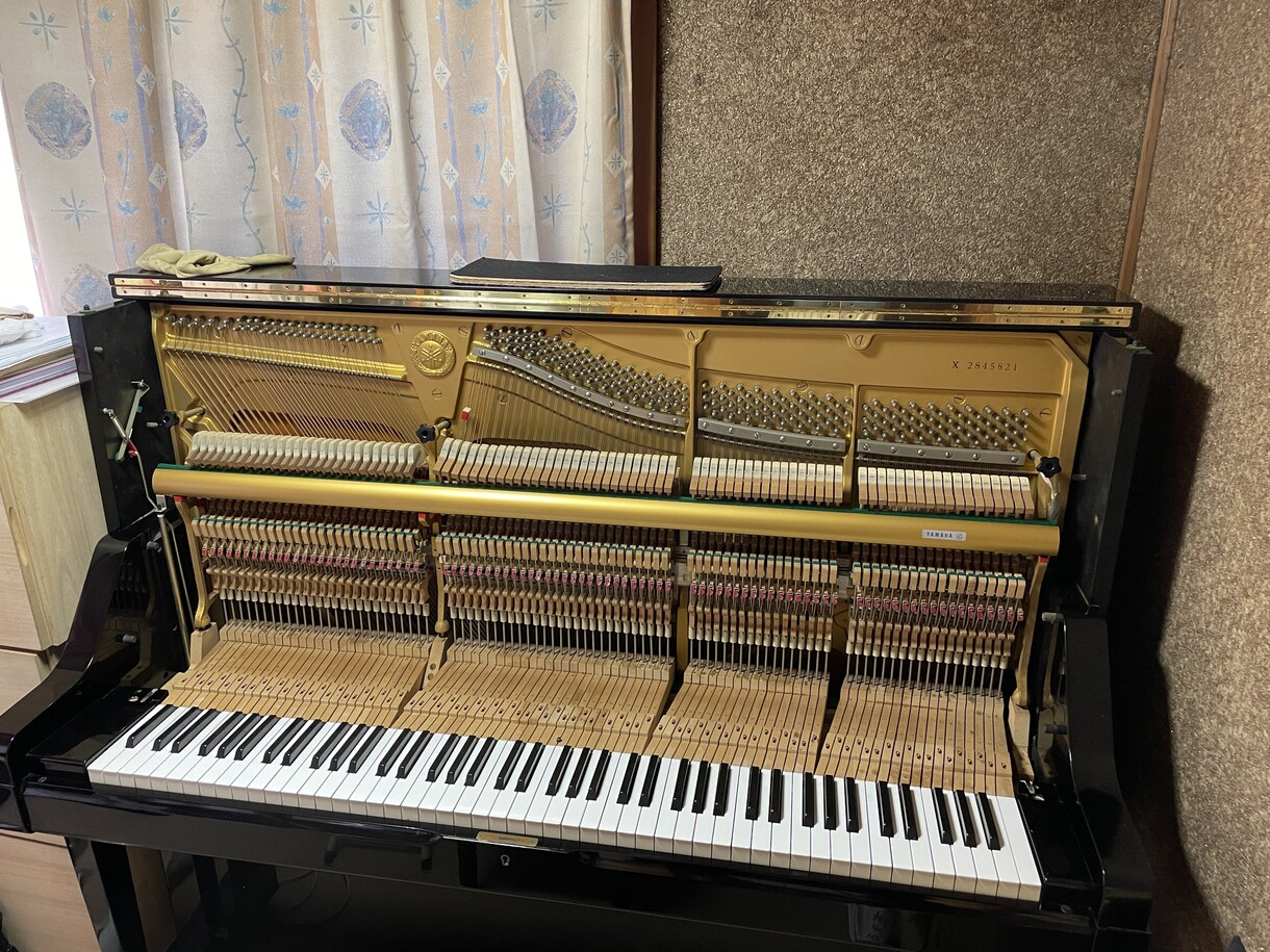 ミュージシャンの方のパフォーマンスが向上します ピアノヒーリングで音楽に魂が反応して音楽愛が更に深く広がる イメージ3