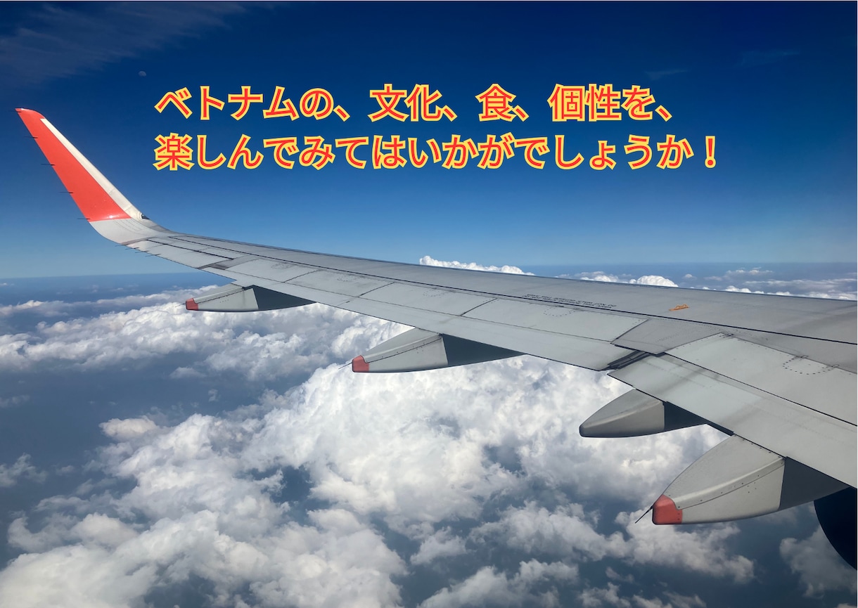 初心者、中級者向け、ベトナム語のレッスンを致します ベトナム語の発音、特に重要な声調のコツを教えます！ イメージ6