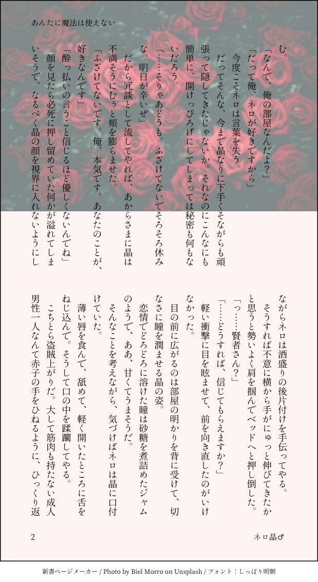 なんでも恋愛小説書きます BLGL男女カプなんでもありの恋愛小説&夢小説書きます！ イメージ3