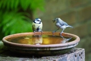 生命保険が分かる基本的仕組みアドバイスします 生命保険を誰に相談して良いか分からない方へ イメージ1