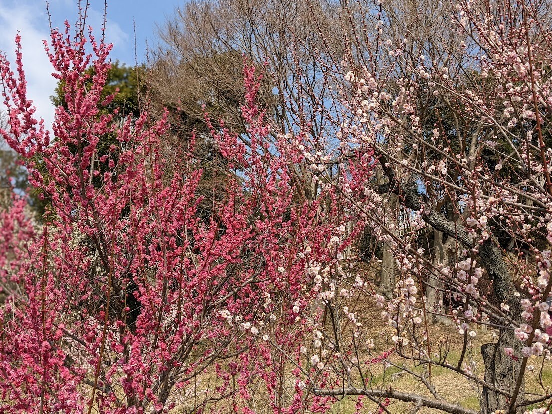 緊急用！お葬式ってどうすればいいの？何でも答えます 葬儀・法事の事　葬祭ディレクター1級が質問に応えます イメージ7
