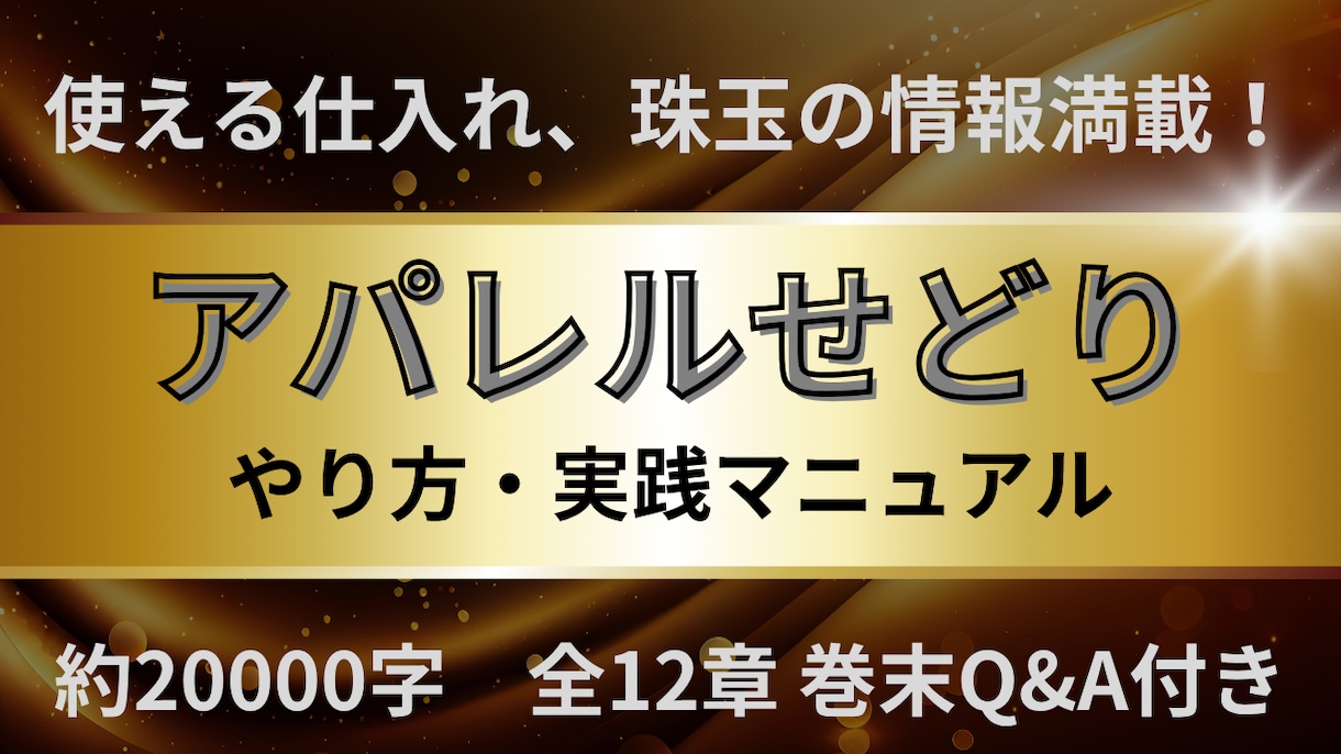 目利きを駆使しセカストで購入した古着を売ります 低資金低リスクでセカストで仕入れてメルカリで売る手法ノウハウ イメージ1