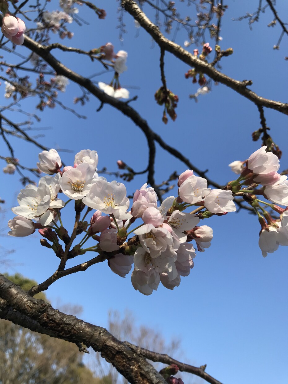 ワンコインであなたの様々なお話聞きます お友達感覚で気軽に話しましょう♪雑談やさまざまなお悩みOK イメージ2