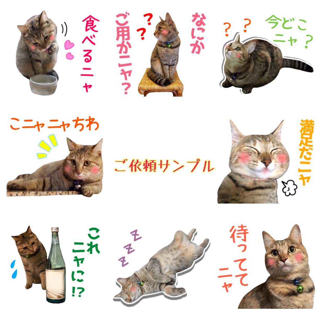 お写真を使ってLINEスタンプお作りいたします 無料修正、申請作業サポート有り！使い易いスタンプ作ります☆ イメージ6