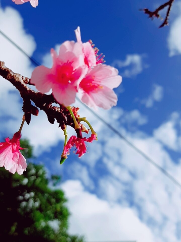 お友達感覚でお悩み愚痴聞きます お話して気持ちを楽にしましょう٩(*´︶`*)۶ イメージ1