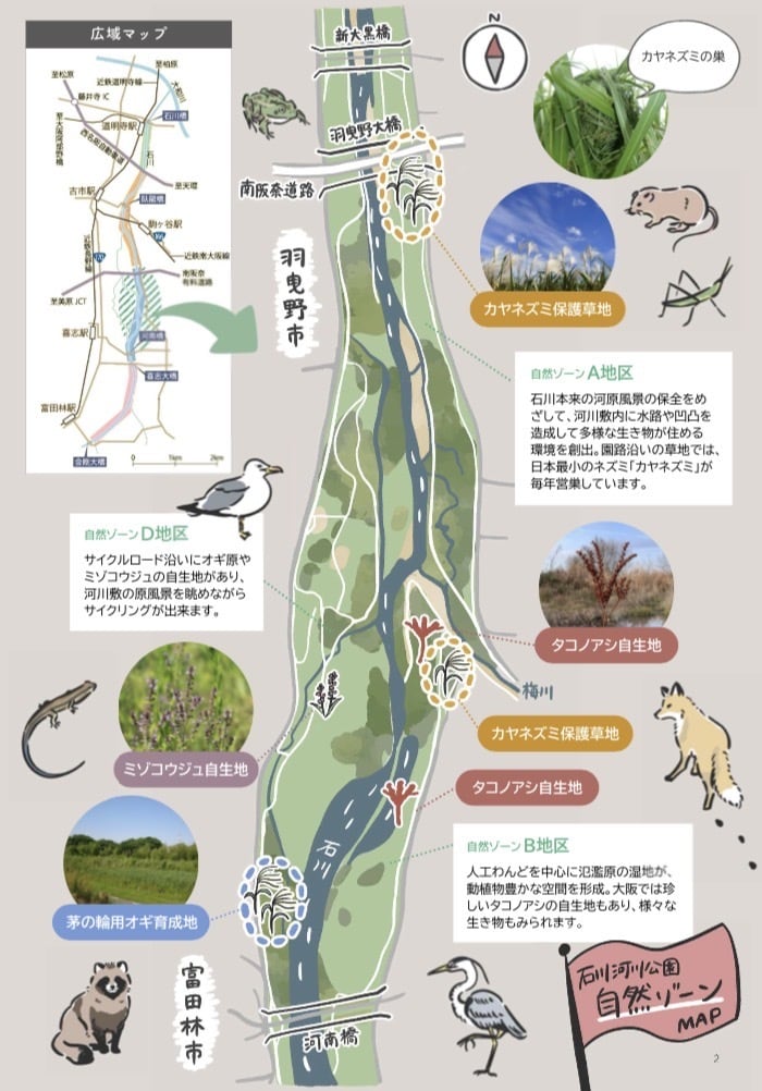 自然教室や森林学習向けのパンフレットを作成します かわいいイラストで楽しく学ぼう！ イメージ1