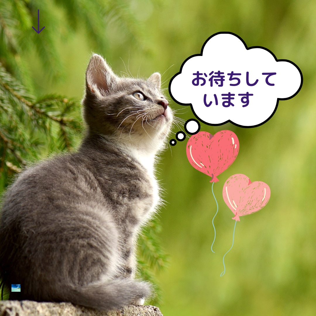 ただ話したい❤心友になってなんでもお聴きします 最近人と会ってない！しゃべってない！一緒に楽しく話しましょう イメージ8
