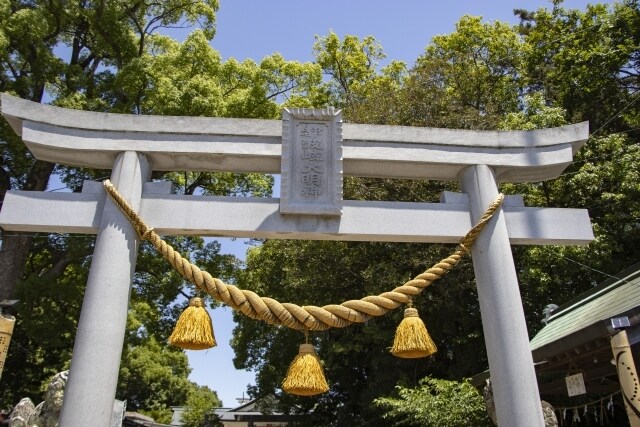 運氣の底上げ！　産土神社、鎮守神社を鑑定します 開運して人生好転させ、マイ神様と繋がって幸せになりましょう イメージ4