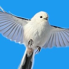 好転ヒーリングします ★願望成就★好転★お金★強烈なエネルギーを注ぎます★ イメージ1