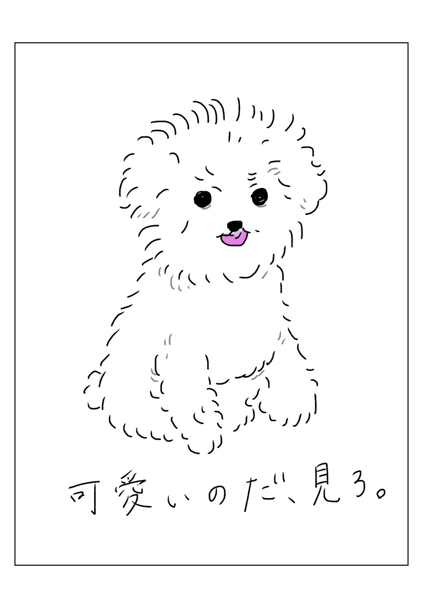 ペットまたは動物のイラスト、漫画を描きます 可愛いペットのイラストを描きます イメージ1