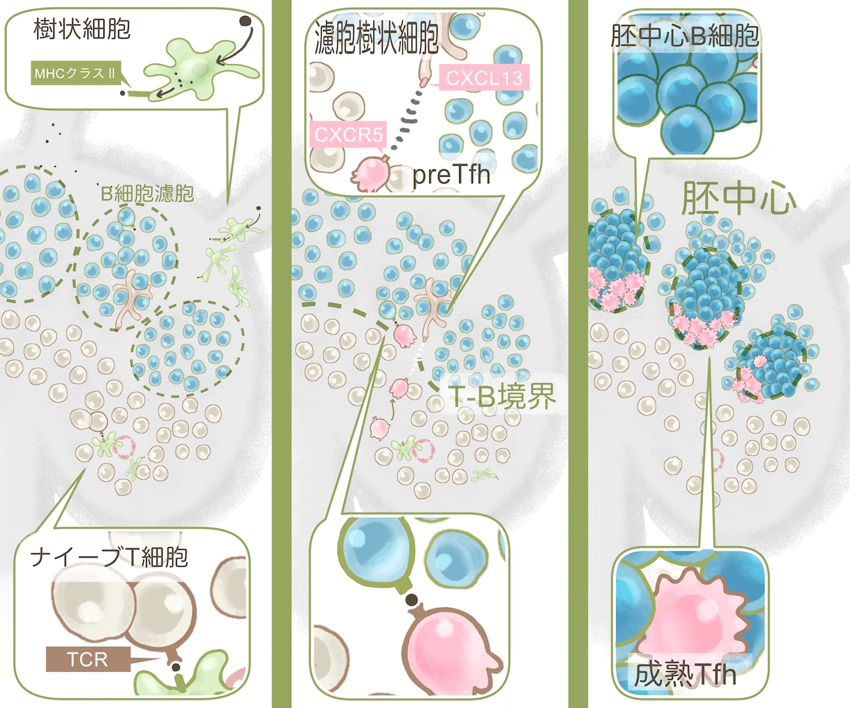 科学イラスト描きます 研究説明フィギュア～抽象概念イラストまで、幅広く イメージ1