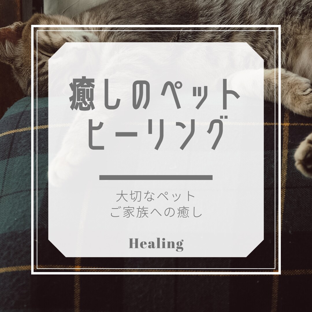 大切な家族（ペット）にご褒美⭐️ヒーリング致します エネルギーセラピー癒しのヒーリング⭐️大切な家族へリラックス イメージ7