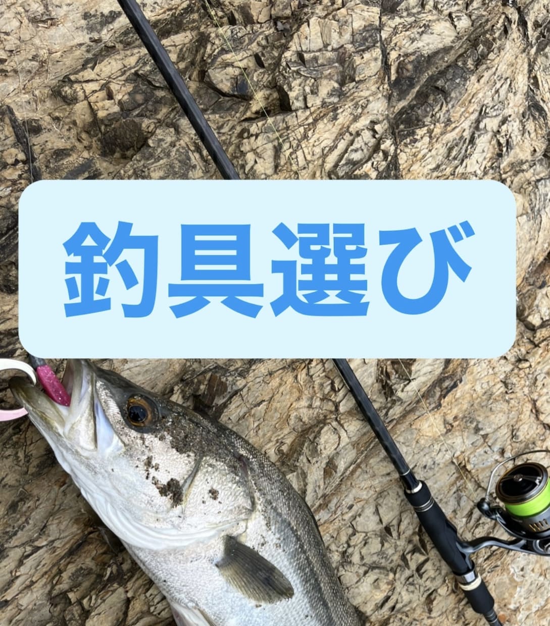 シーバスフィッシング初めての釣具選びます シーバスフィッシング初めての釣具選びお手伝い イメージ1
