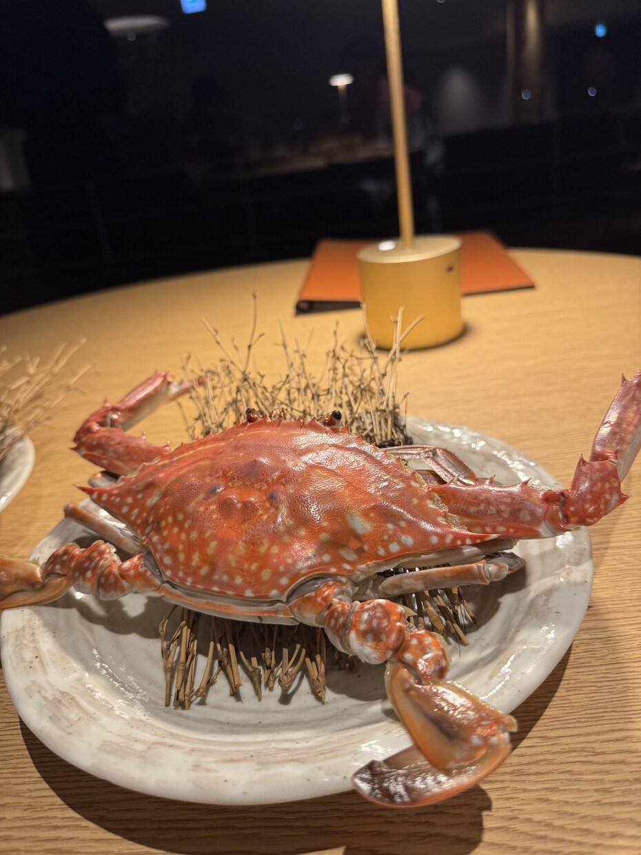 気軽にお話しできたらいいなと思ってます 呑気になんも考えずに話せる友達感覚で出来たらとおもってます！ イメージ1