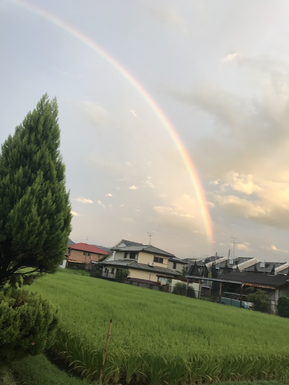 10日間で！健康的に痩せます 食べたい！でも痩せたい方！必見\(  ･ω･ )/ イメージ1