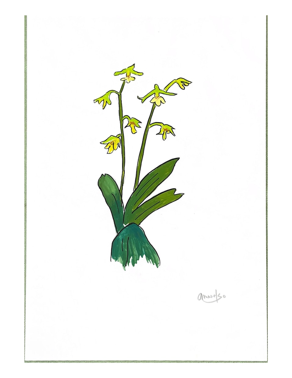 好きなお花を 鮮やかな手書きの一枚絵にします 色あざかやなデザイン画をお部屋のアクセントに！ イメージ5