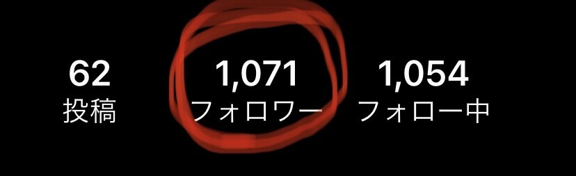 SNSフォロワーの増やし方お教えます 1000人超え実績あり。知人も実績あり。 イメージ1