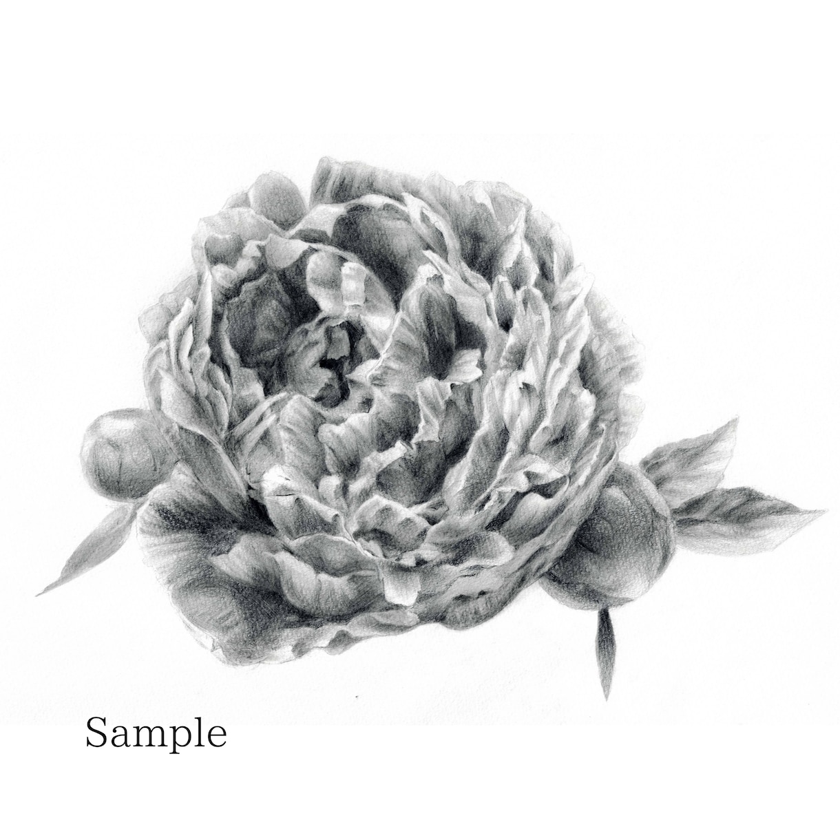 なんでもリアルタッチな絵にします 複数の組み合わせやイメージのみなどもOKです。 イメージ1