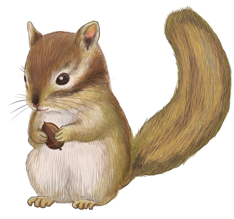 リアルなタッチでペットや動物のイラスト描きます 大切な可愛いペットの魅力をたっぷり表現します！ イメージ5