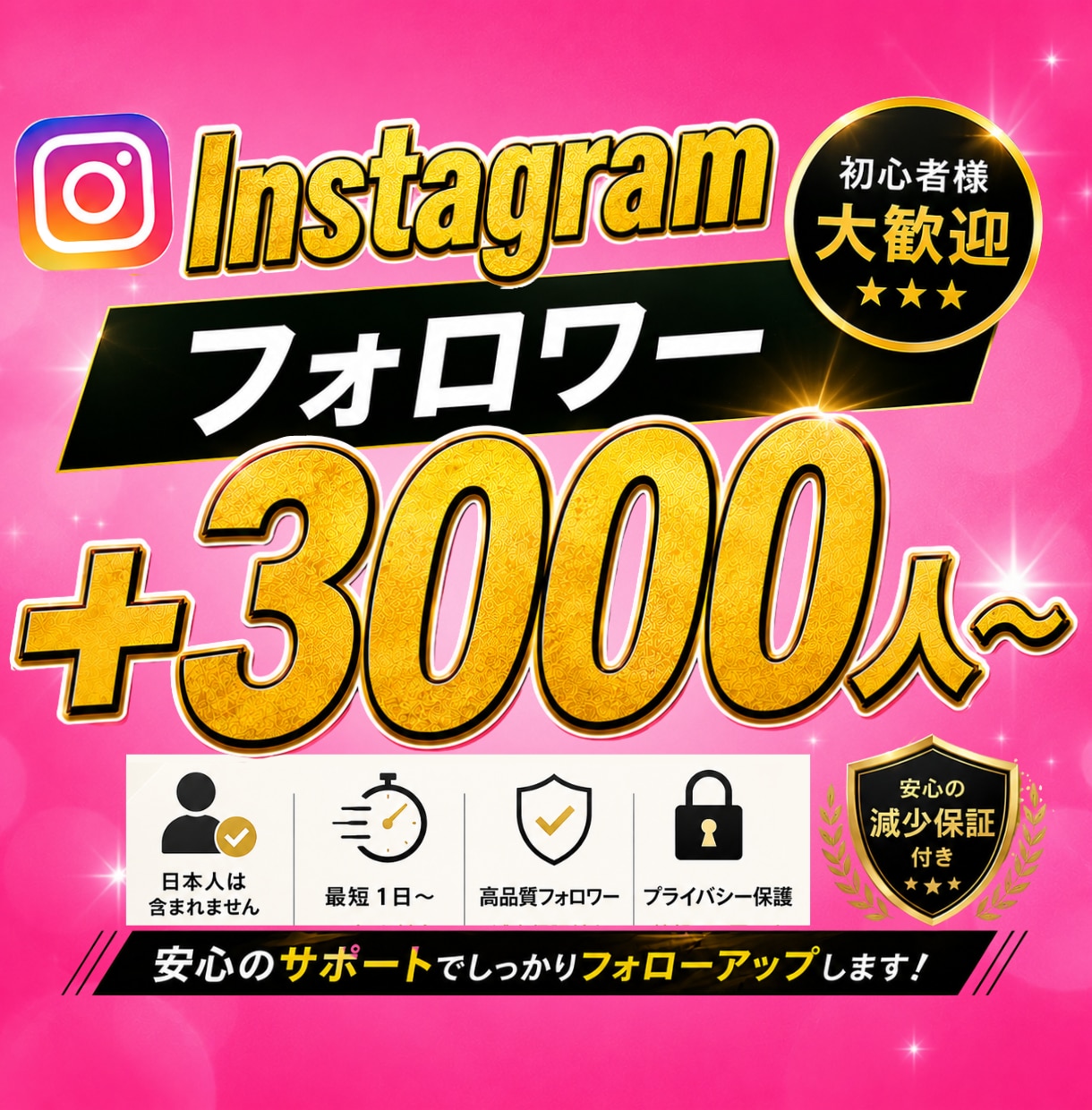 Instagramフォロワー＋3000人増やします 振り分け可能/ゆっくり増加可能/減少保証付き イメージ1