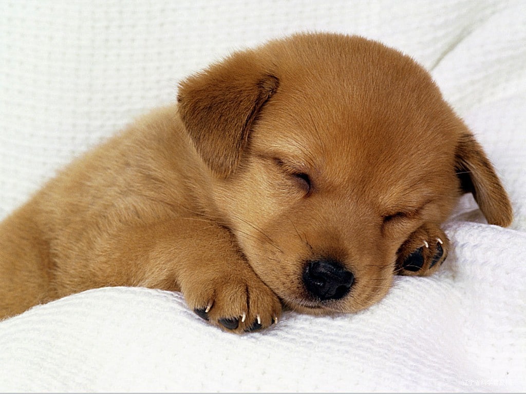 不眠症の方へ、不安を解消し眠りにつける方法を紹介します イメージ1