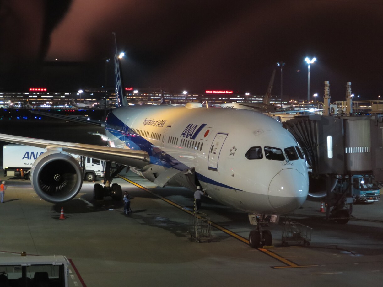 ANA国内線航空券をおトクに購入する方法を教えます 30日前までの購入で通常よりも格安になります。 イメージ1